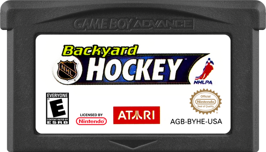 Backyard Hockey